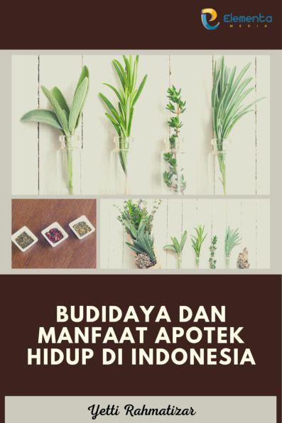 Sampul buku Budidaya dan Manfaat...